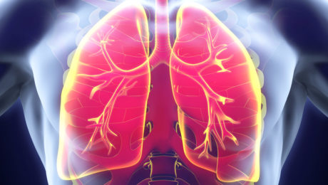 lung stem cell therapies