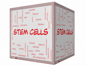 stem cell medicine