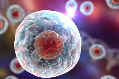 human stem cells