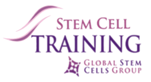 stem cells training korea